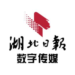 湖北日报数字传媒