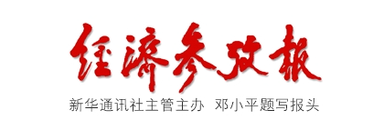 加快培育和发展能源新质生产力