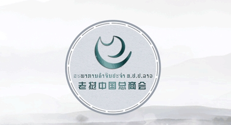 老挝电动车保有量突破1.4万辆，充电站126个覆盖14省，预计2030年超150个