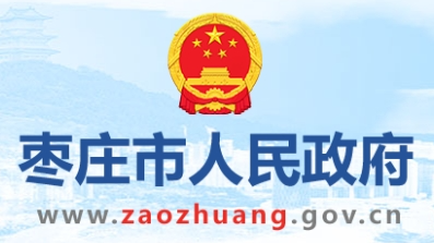 2025年枣庄市能源工作要点